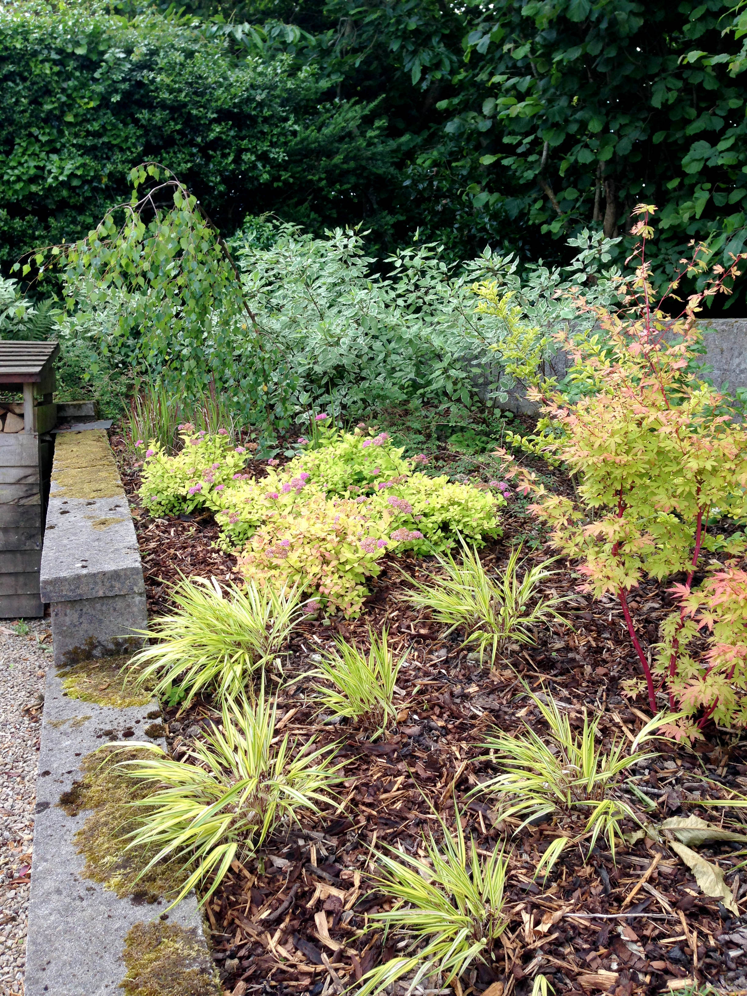 View of memorial garden and wild flowers